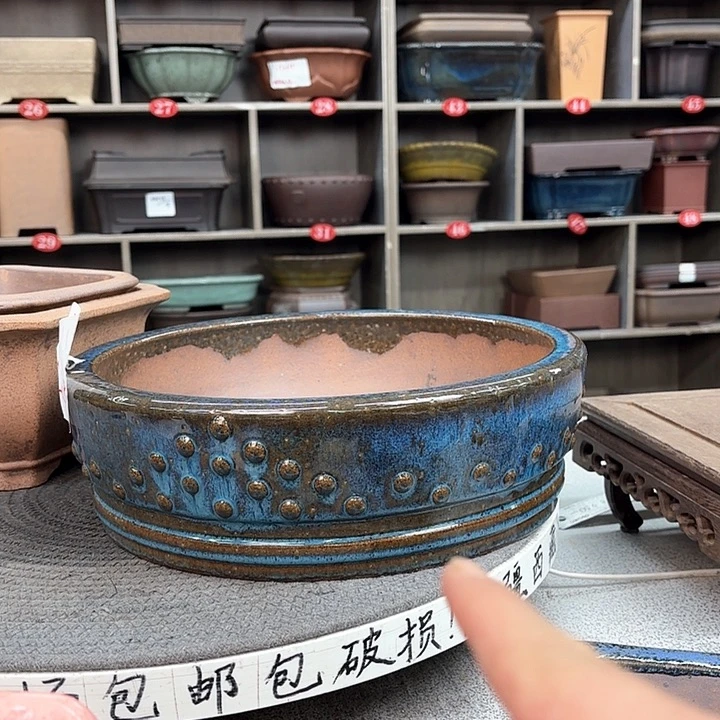 紫砂花盆紫砂的花也太美