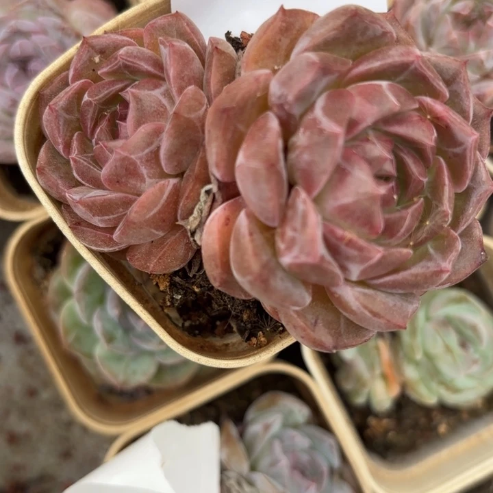 闪购315雨雨雨雨雨雨雨雨雨雨雨雨雨雨雨雨雨雨雨雨