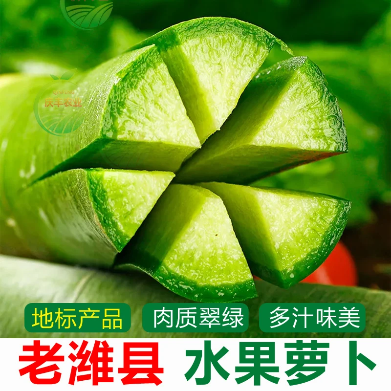 2025新拔潍坊水果萝卜产地直发潍坊萝卜脆甜爽口青萝卜生吃萝卜