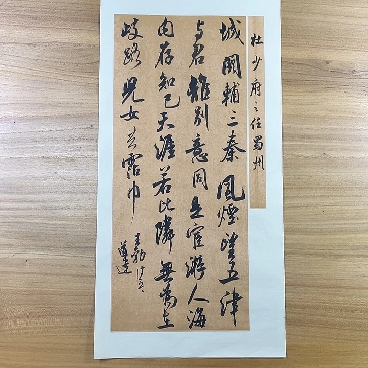 书法中书协会员作品