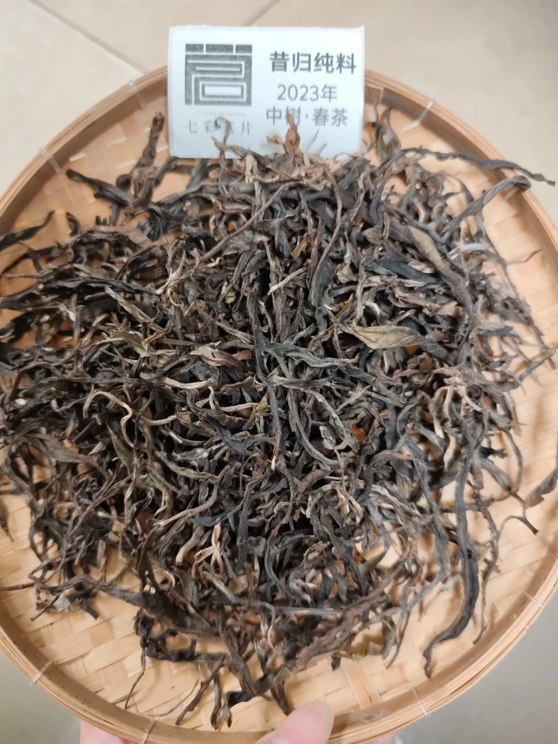 2023年昔归纯料中树春茶 普洱茶 生茶