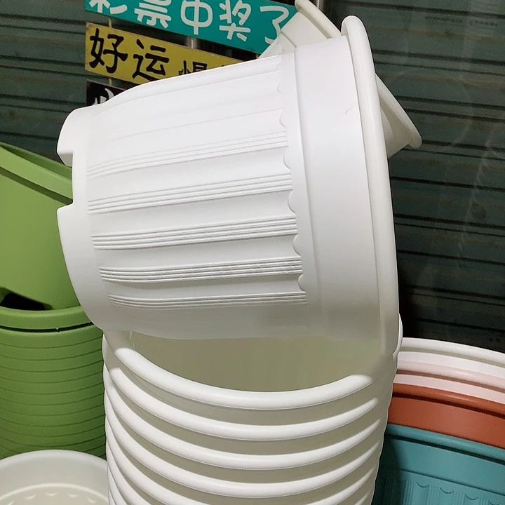 罗马口28白4个无托