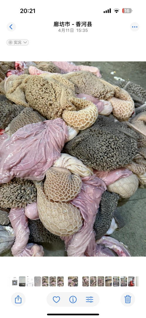 清真食品，羊毛肚无油带脾非洗净