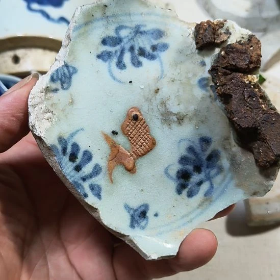 瓷片瓷片瓷片瓷片瓷片