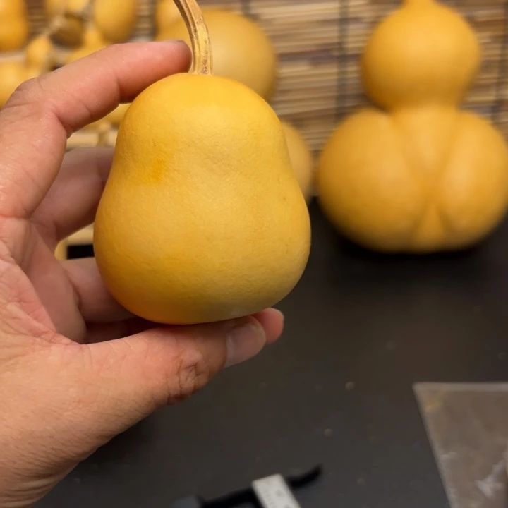 p****.145523556963669999