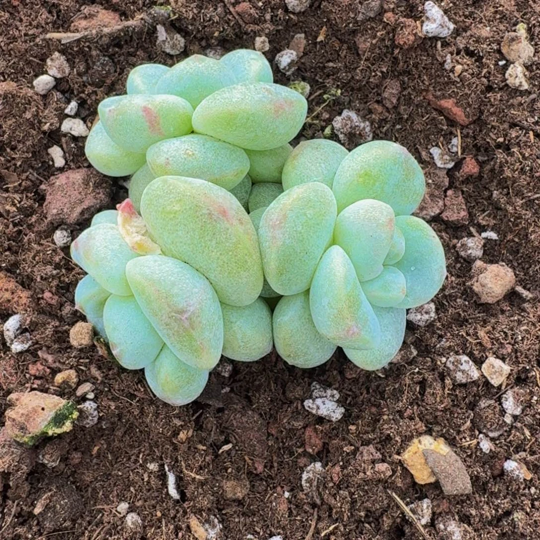 北****哈哈哈哈哈哈哈哈哈哈哈