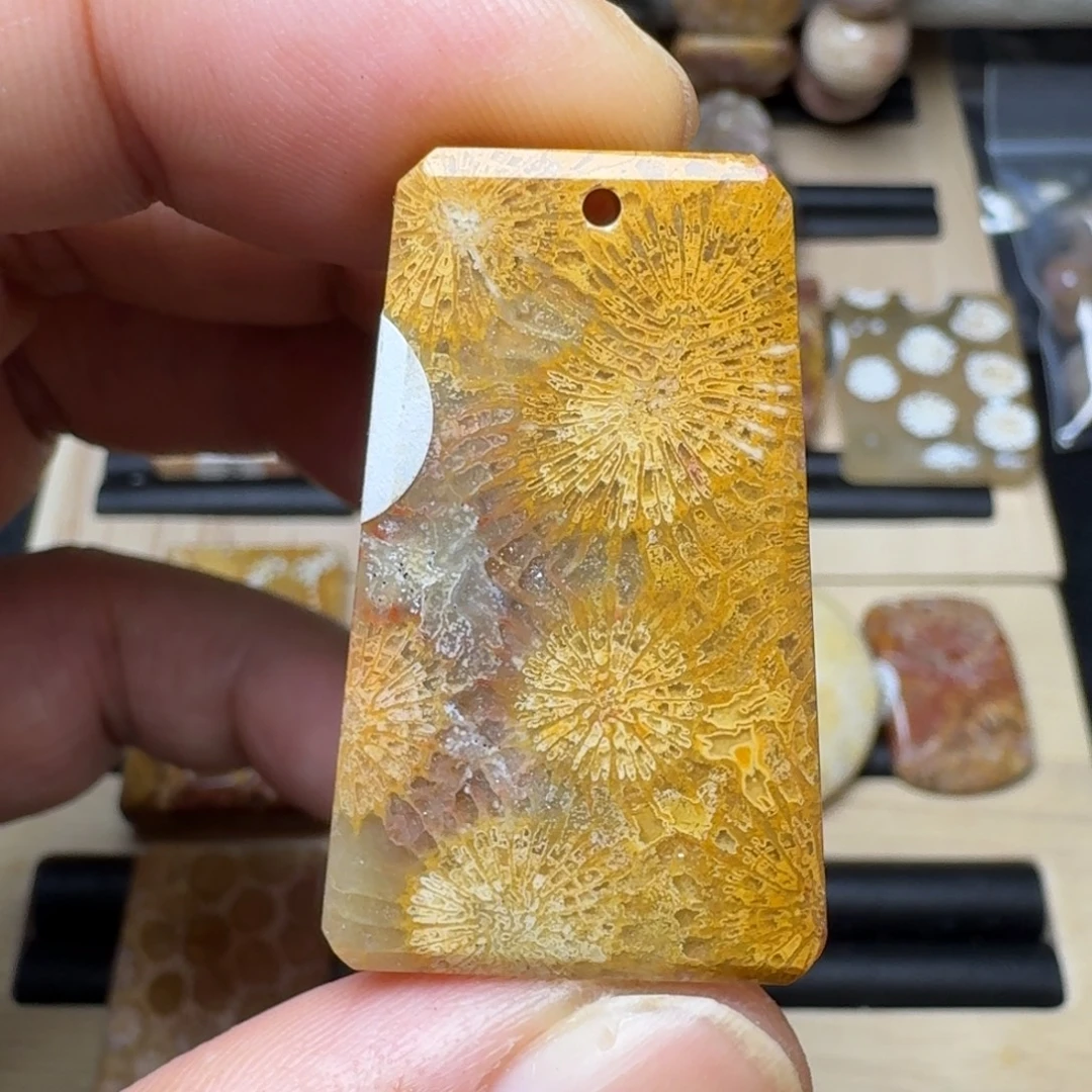硅化珊瑚（珊瑚玉）未镶嵌纯天然色有机玉石保真色