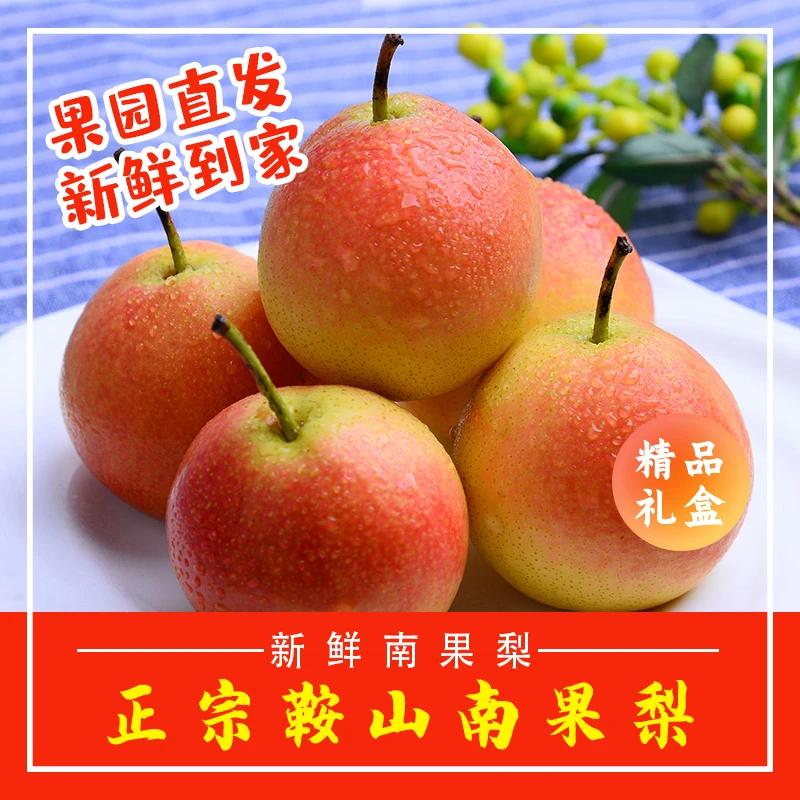 正宗辽宁鞍山南果梨礼盒装东北特产新鲜薄皮大果软糯多汁酒香水梨