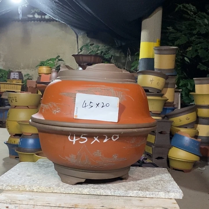 紫砂紫砂紫砂紫砂