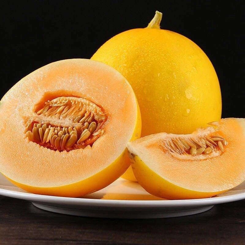 甘肃民勤蜜瓜2-9斤装现摘现发应当季新鲜水果多仓发货