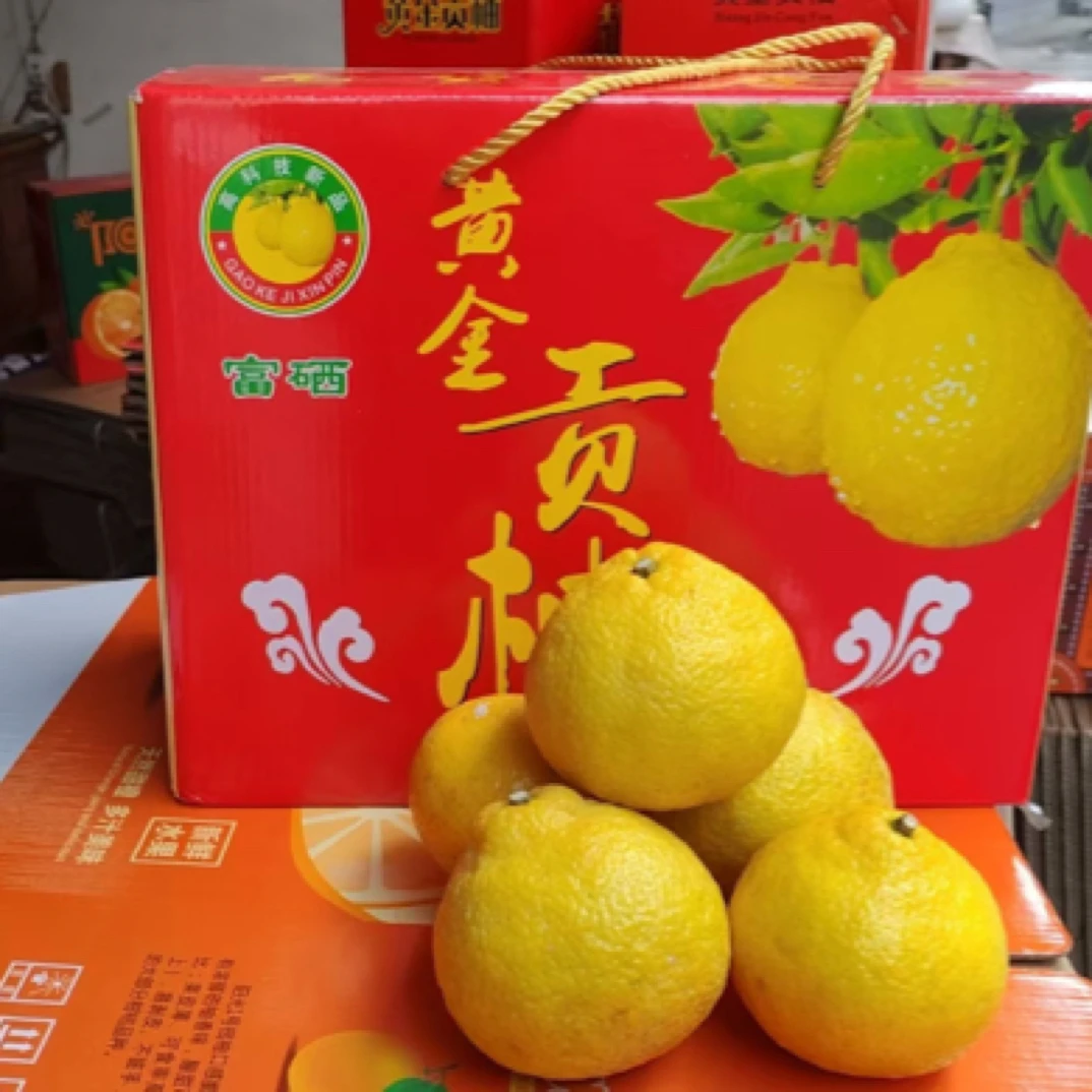 芷江鲜嫩丑八怪橘子黄金贡柚家乡特产新鲜香甜爆汁饱满浓郁多汁