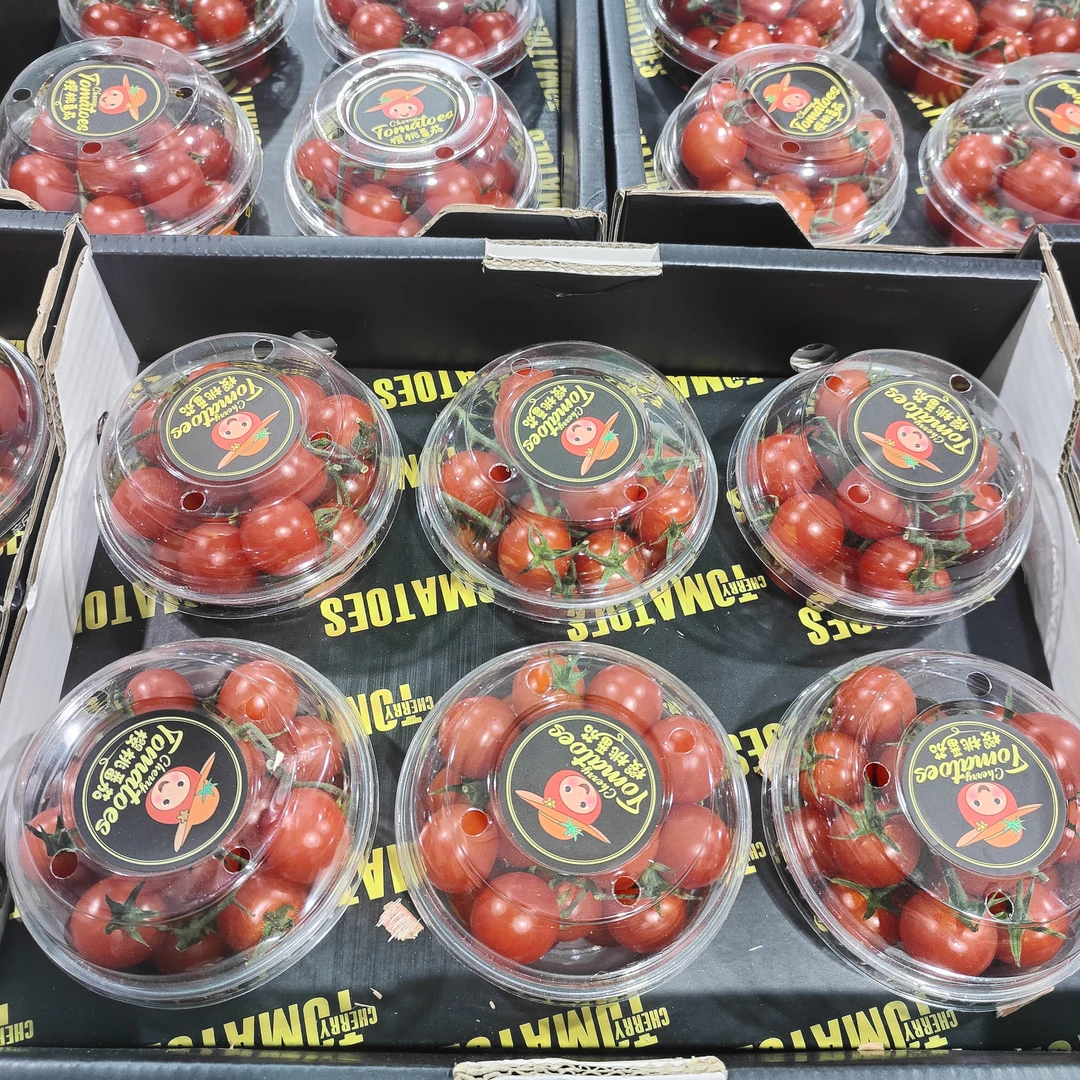 【一箱】樱桃小番茄 新鲜水果 一箱6盒带箱4.5斤左右