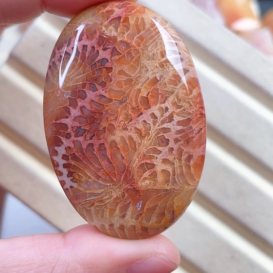 【闪购商品】硅化玉手串未镶嵌