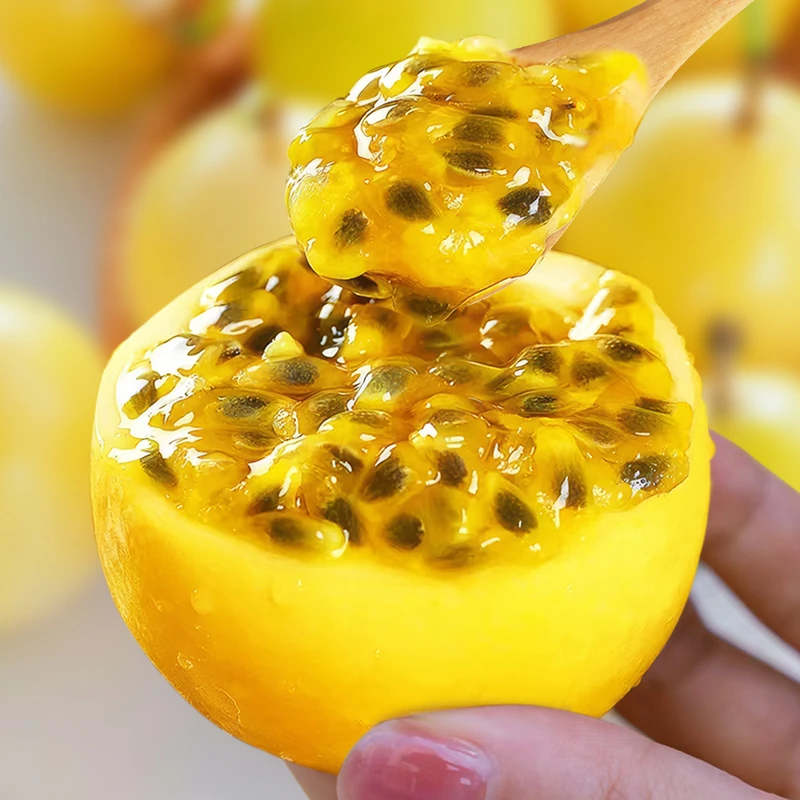 【巨无霸单果90-100g】钦密9号黄金百香果新鲜水果现摘现发