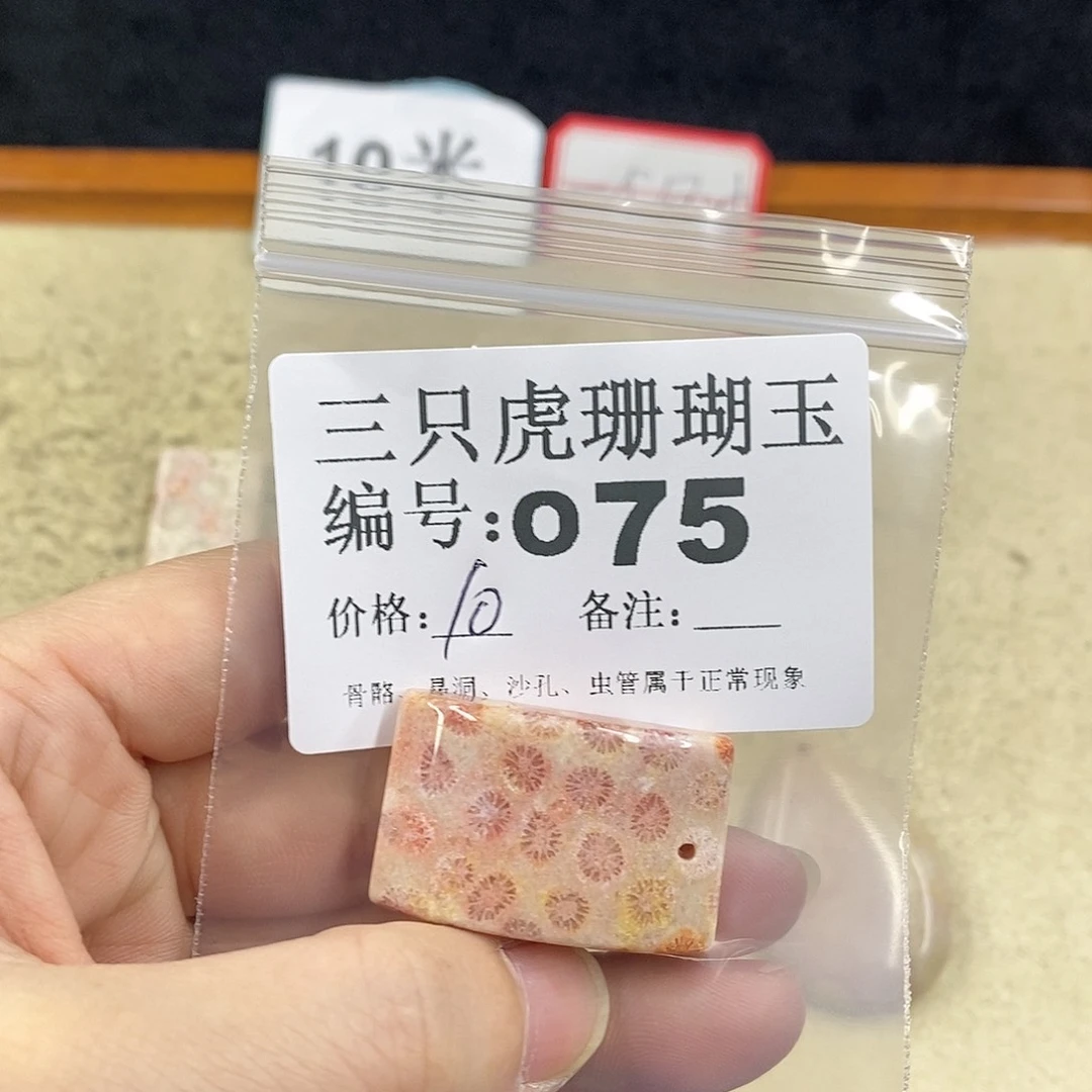 硅化珊瑚（珊瑚玉）1未镶嵌?***小