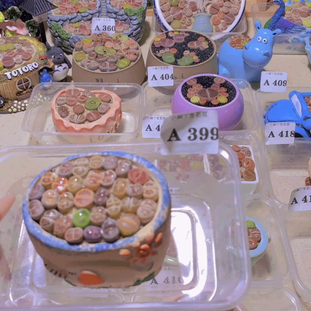 399。。。。。。。。。。。。