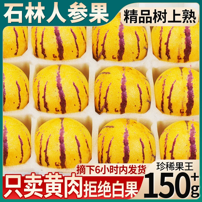 树上熟正宗云南石林人参果新鲜水果人生果人心果黄肉整箱包邮现摘