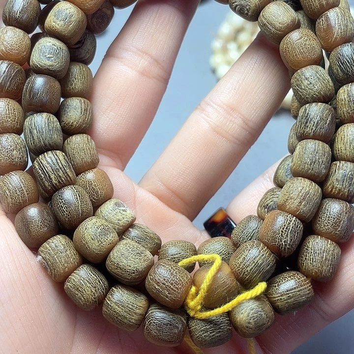 大果紫檀（缅甸花梨）