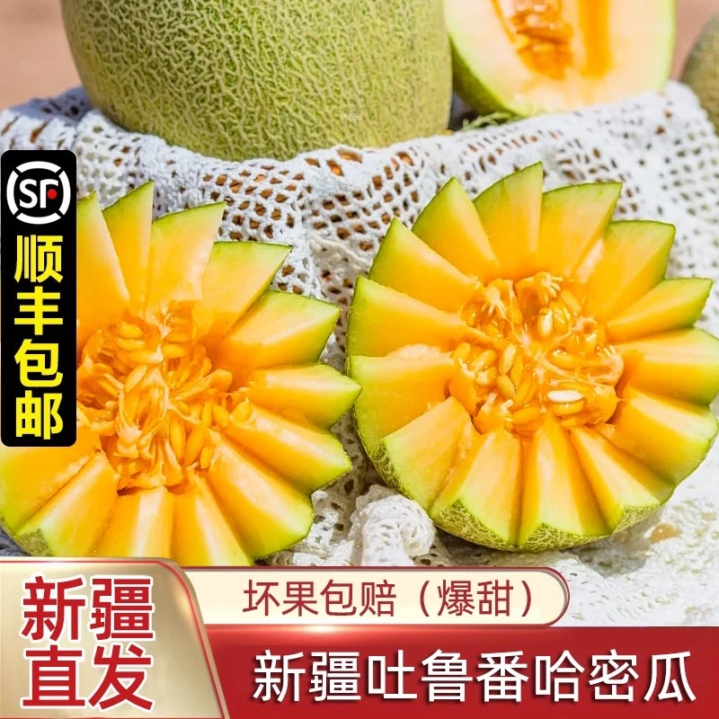 正宗新疆哈密瓜西州蜜25号新鲜水果应当季网纹吐鲁番甜瓜整箱包邮