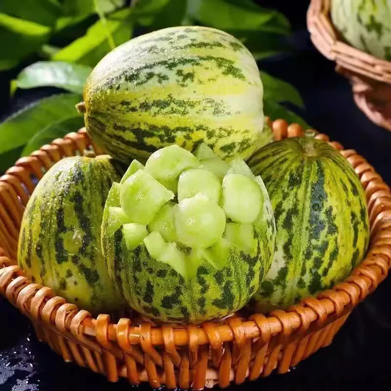 【顺丰包邮】山东八里香花蕾甜瓜花姑娘美人甜瓜皮薄脆甜水果现摘
