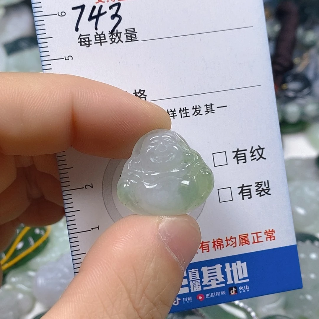 翡翠颈饰未镶嵌天然翡翠