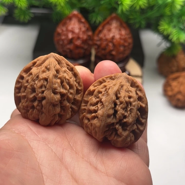 核桃文玩核桃九龙35