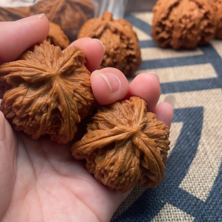 爆***水核桃白狮子41核桃