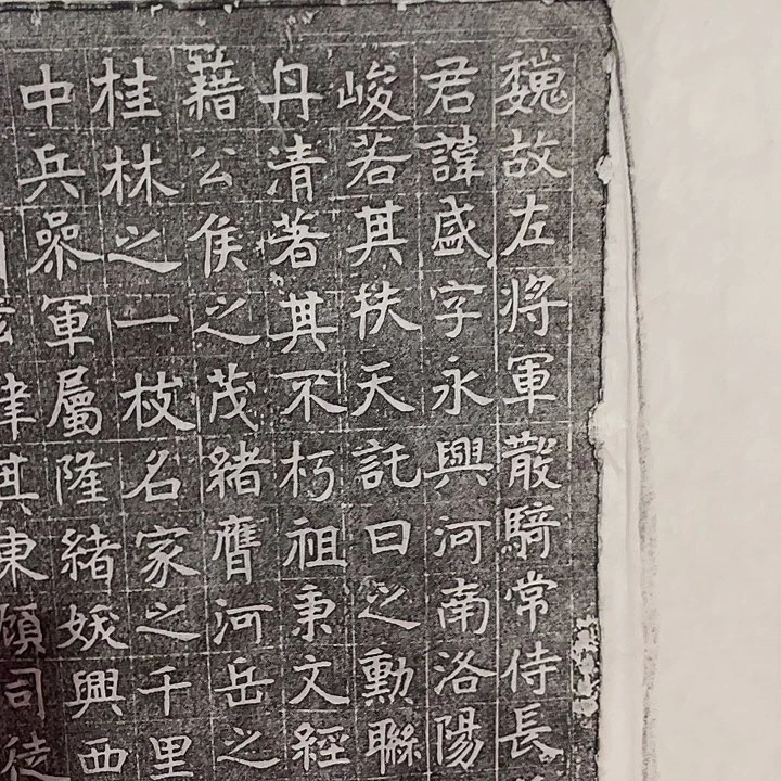 昌化石印石报片111111111111