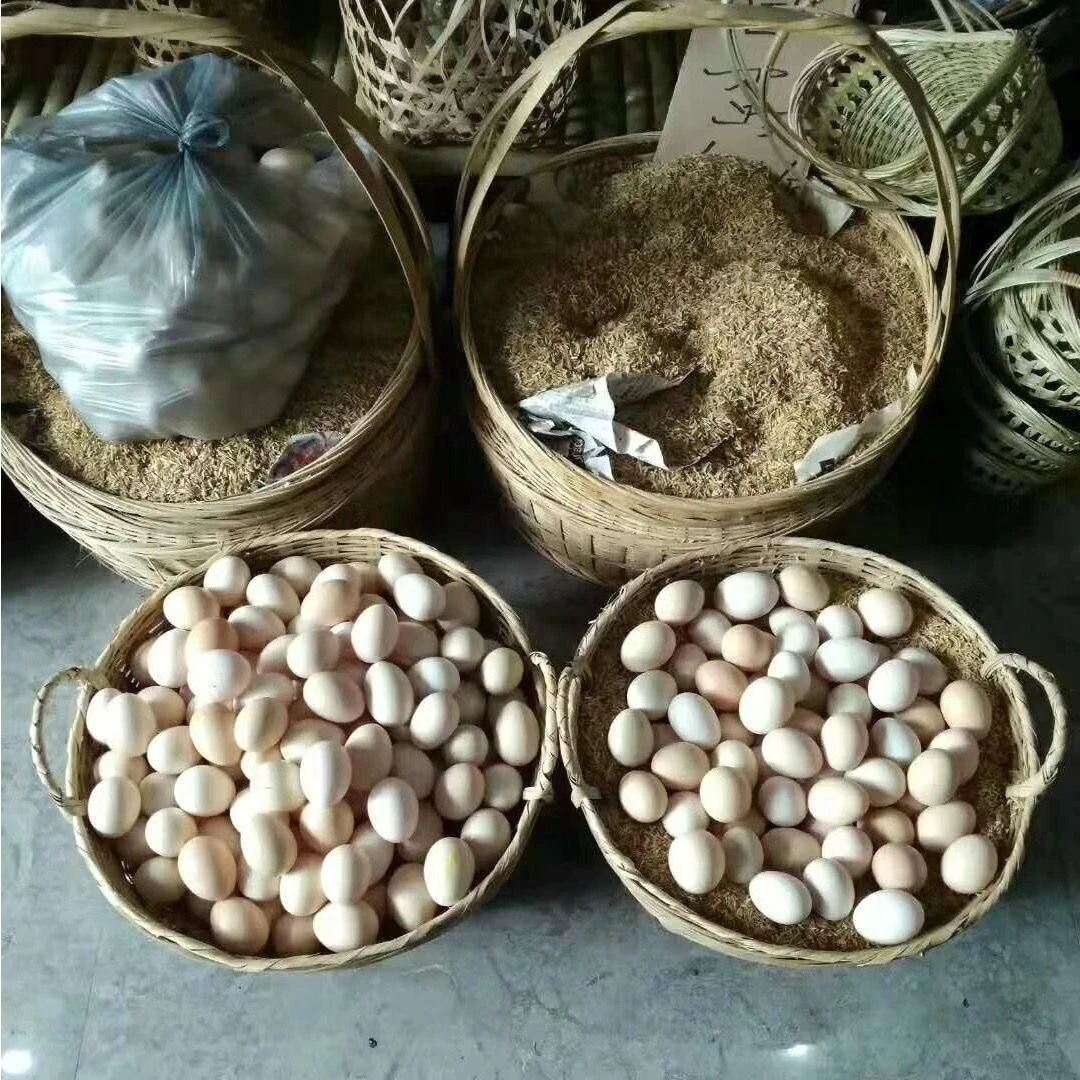 正宗农家散养土鸡蛋新鲜绿壳乌鸡蛋混合装