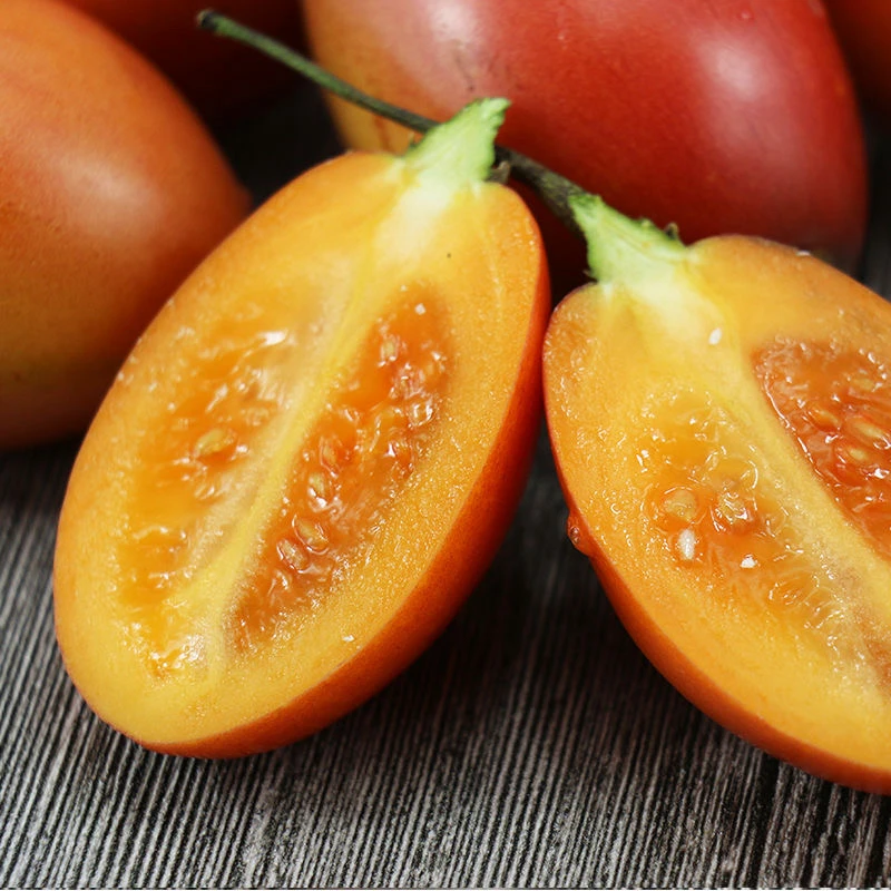 云南树番茄现摘现发云南特产树番茄长在树上的番茄酸酸甜甜