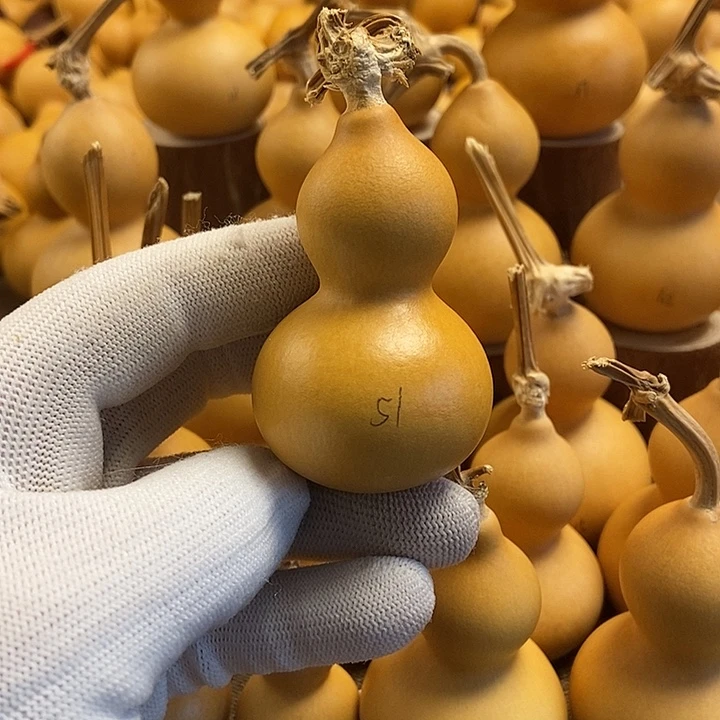 文玩葫芦 完美主义者 慎拍51