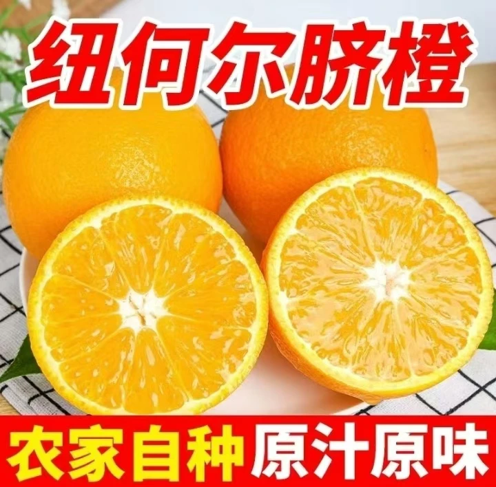 Y新鲜纽荷尔脐橙5/10斤甜橙子农家自种现摘现发一箱大果包邮