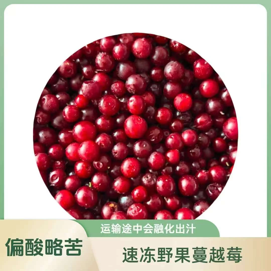 (顺丰包邮)大兴安岭野生蔓越莓冻果鲜果速冻雅格达北国红豆无添加