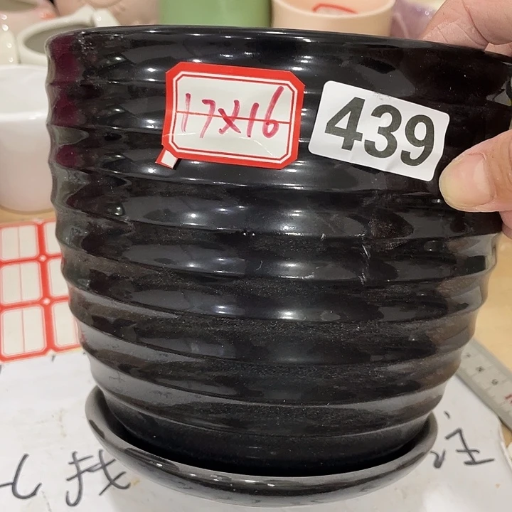 花盆花盆花盆花盆花盆花盆花盆花盆