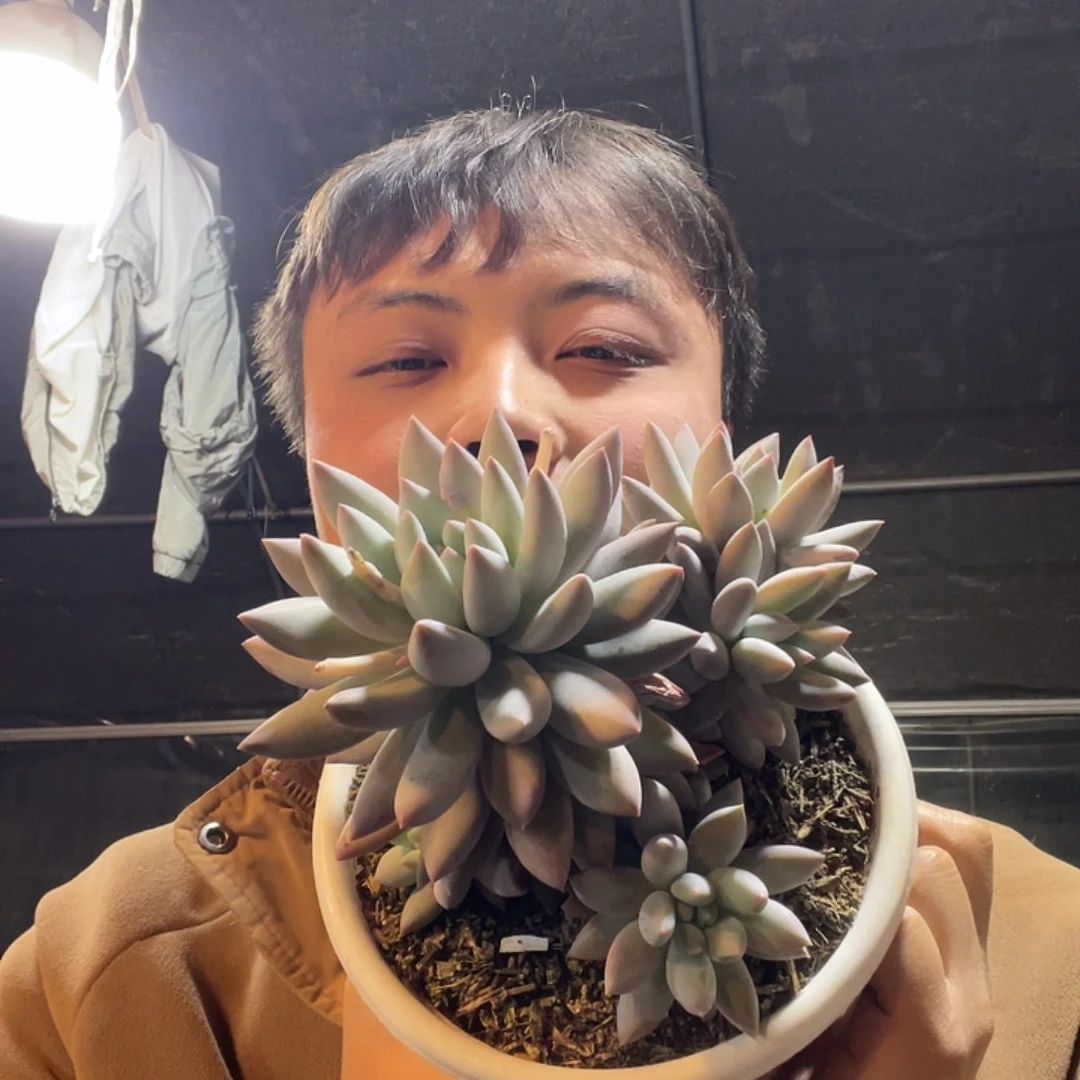 279 满20包邮脱土发货