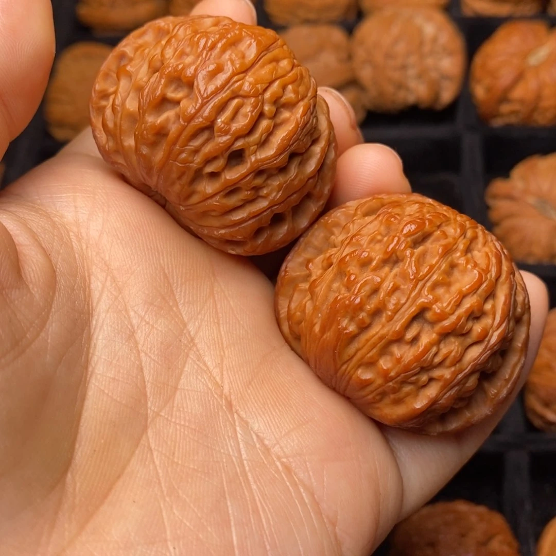 秦岭野生文玩核桃