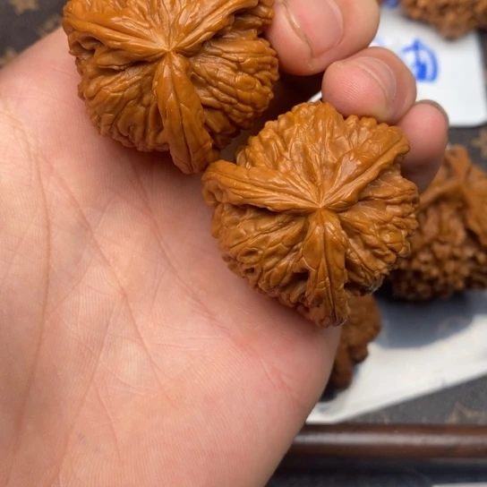 君****@白狮子111111111111