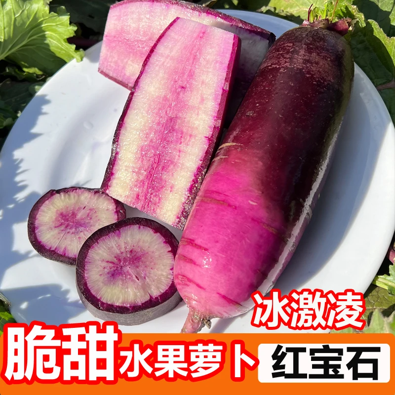 冰淇淋红宝石水果萝卜种子冰糖心萝卜种籽春秋季萝卜种农家菜籽