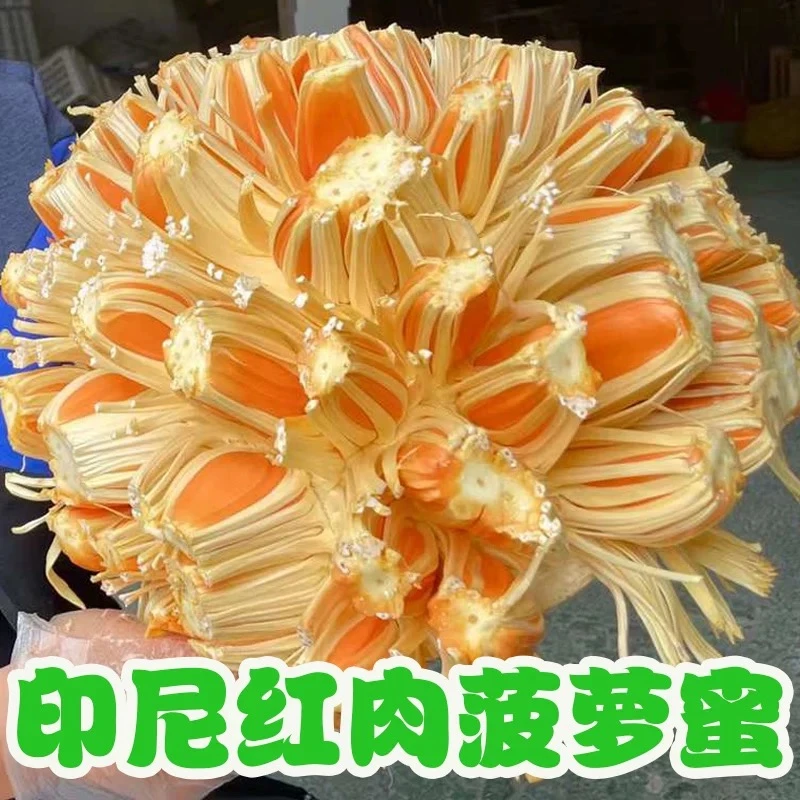 （顺丰包邮）红肉菠萝蜜新鲜香甜精品水果香甜软糯 干包脆甜