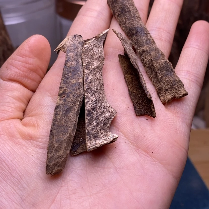 【闪购商品】海南鸡母虫3克沉水