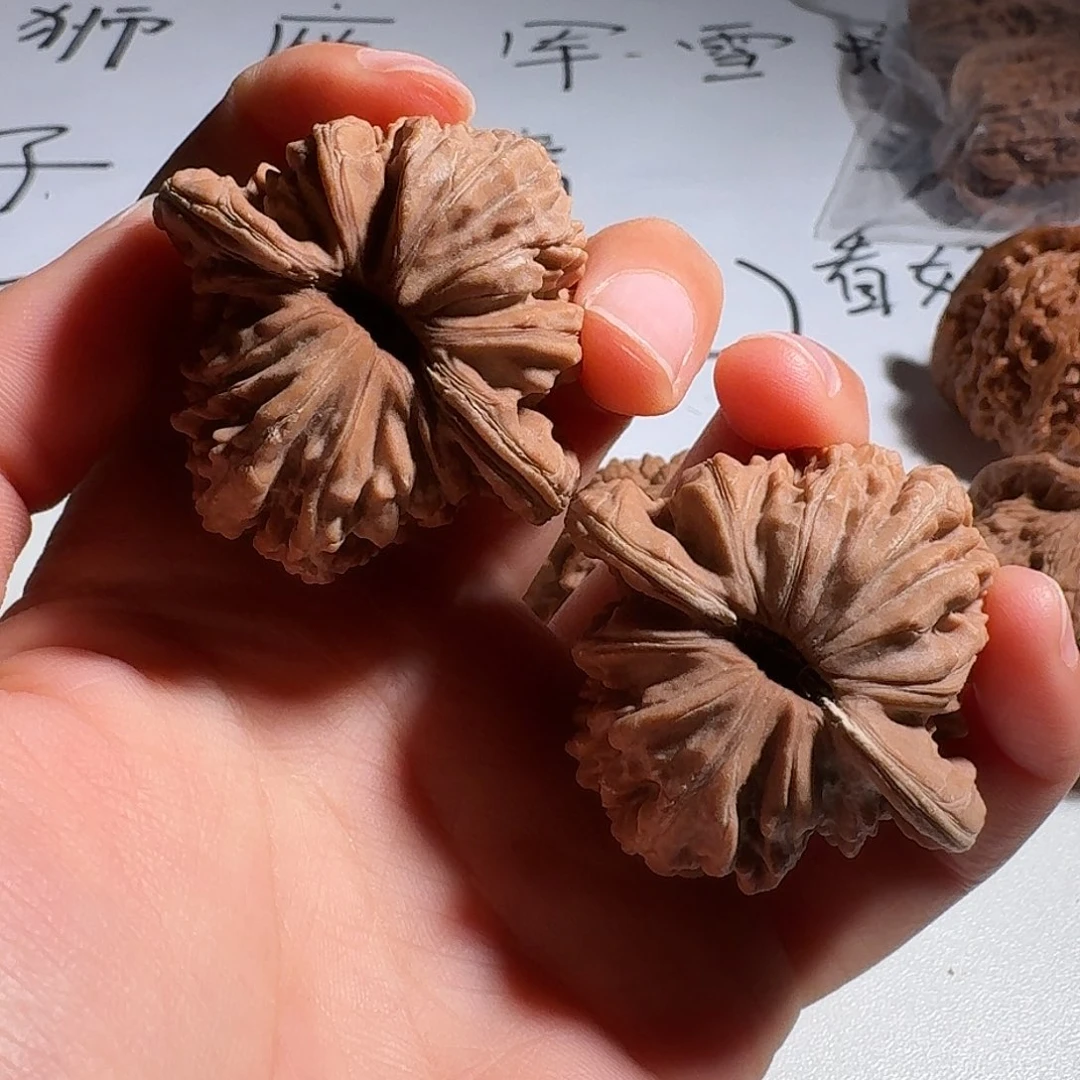 L***l核桃老树红皮四座楼43全