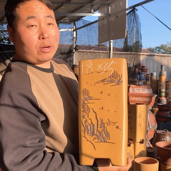 紫砂花盆盆栽花卉苗木种植