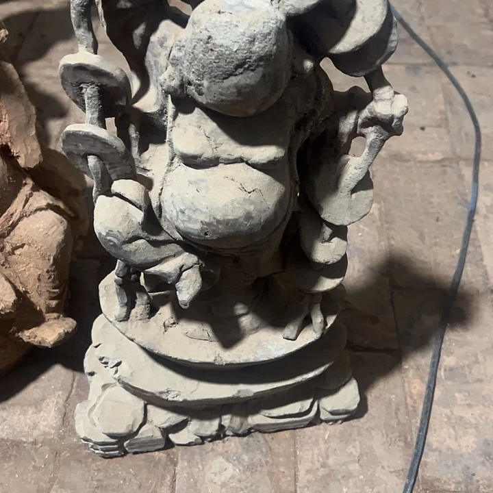 香榧木88889988888888888