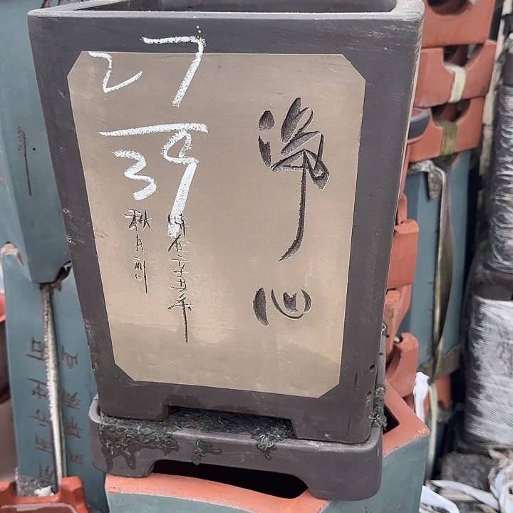 紫砂花盆这是我的