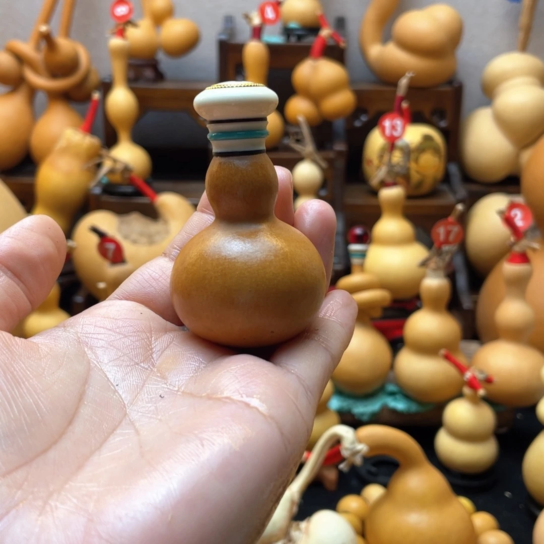 巧*大自然的秘密第十一节我的