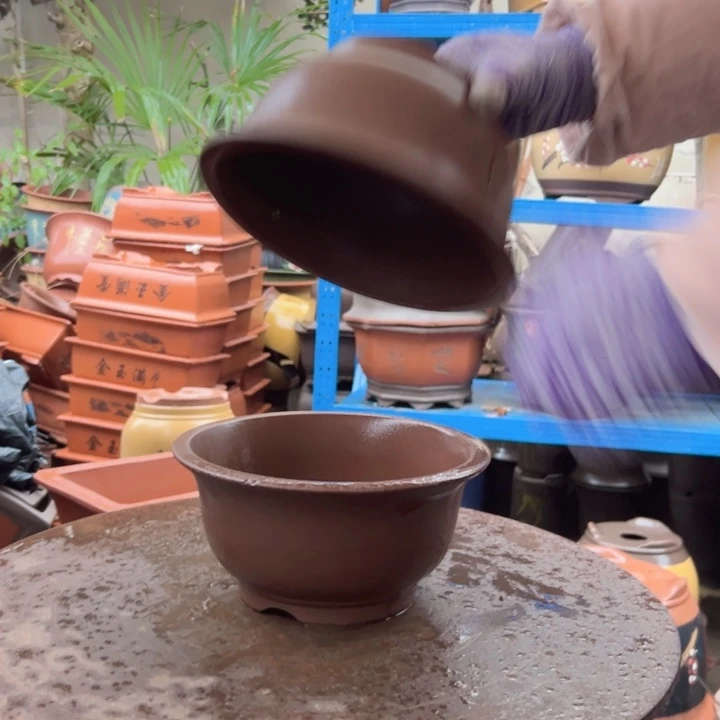 21+21茶林小碗花盆花盆