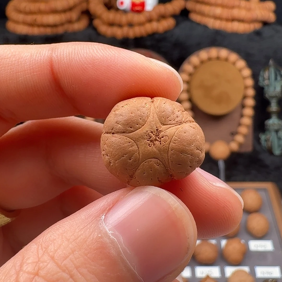 手串凤眼菩提五星