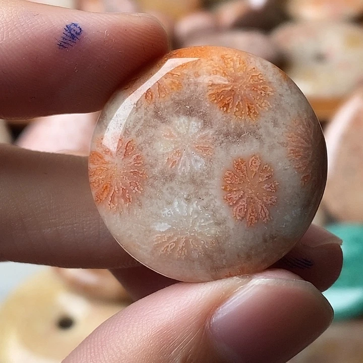 冯***宝硅化玉未镶嵌颈饰