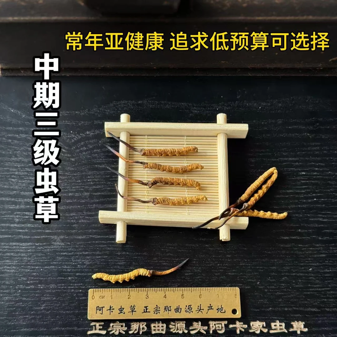 帛莲西藏那曲中期三级干野生冬虫夏草那曲原产地发货滋补营养