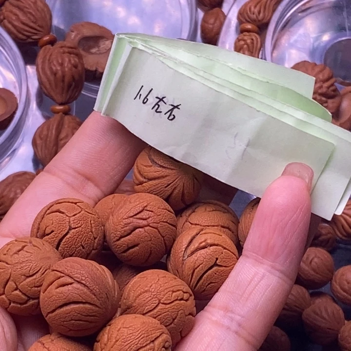 其他核桃秦岭龙纹